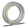 Kaydon Bearings MTO-145